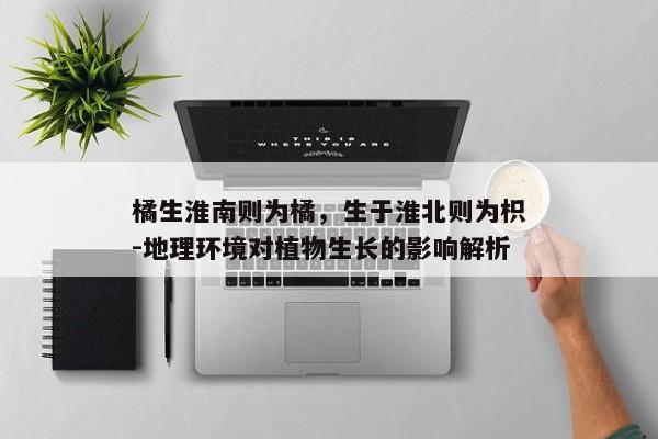 石家庄丝弦戏大全-艺术特色与传承发展解析