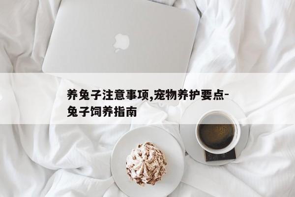 养兔子注意事项,宠物养护要点-兔子饲养指南