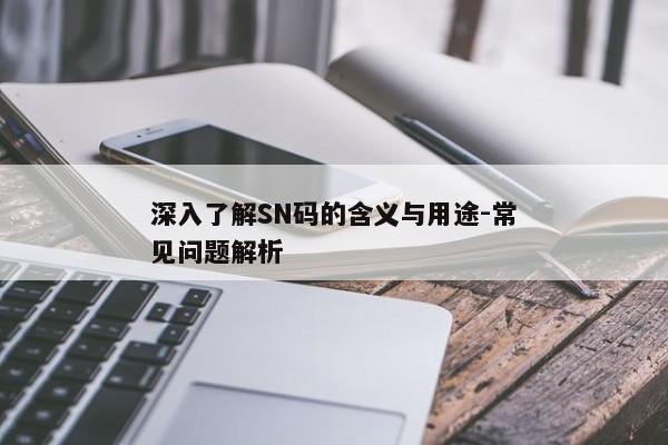 深入了解SN码的含义与用途-常见问题解析