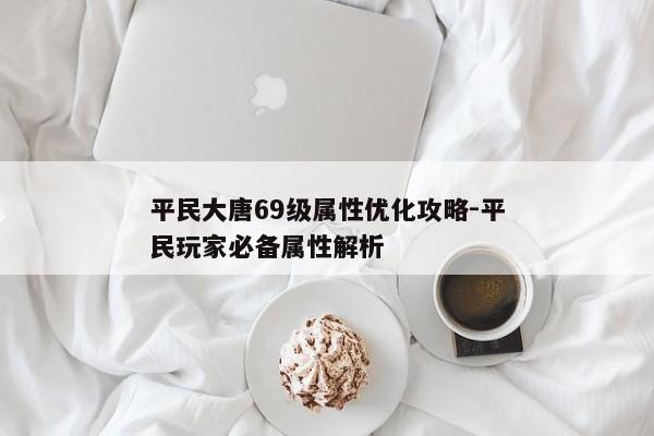 平民大唐69级属性优化攻略-平民玩家必备属性解析