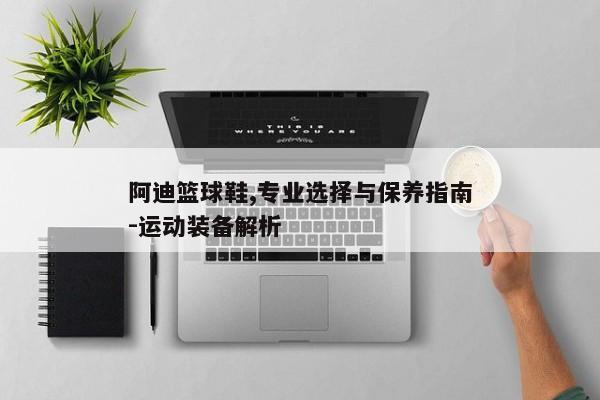 阿迪篮球鞋,专业选择与保养指南-运动装备解析