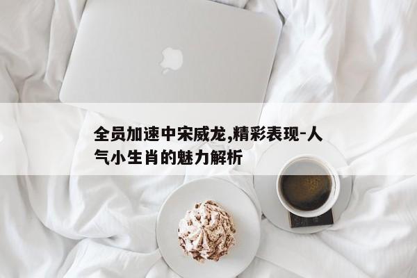 全员加速中宋威龙,精彩表现-人气小生肖的魅力解析