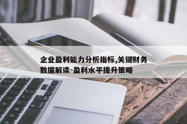 企业盈利能力分析指标,关键财务数据解读-盈利水平提升策略