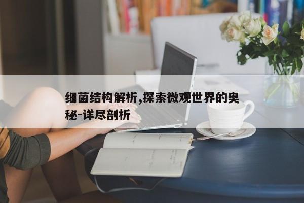 细菌结构解析,探索微观世界的奥秘-详尽剖析