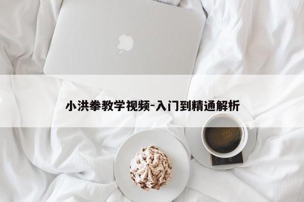 小洪拳教学视频-入门到精通解析