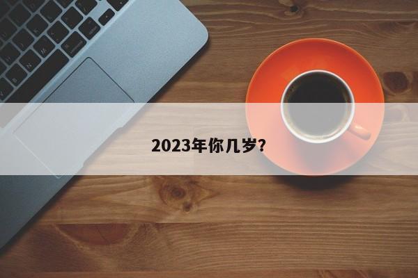 2023年的年龄是多少？