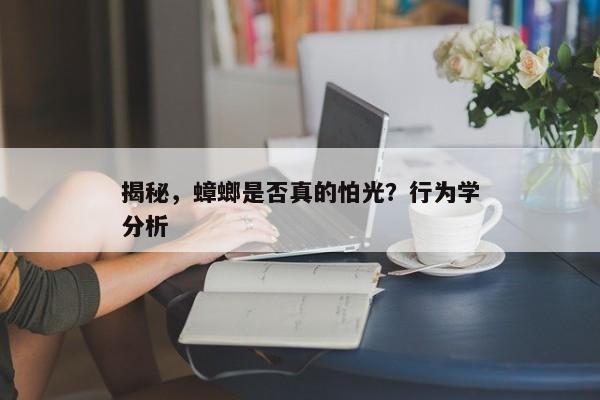 揭秘，蟑螂是否真的怕光？行为学分析