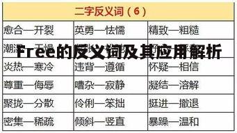 Free 的反义词及应用场景分析