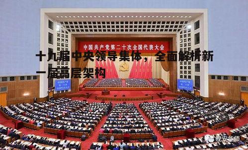 十九届中央领导集体，新一届高层的全面解读