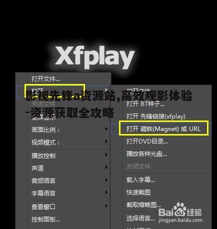 四、影视先锋a资源站的安全性问题