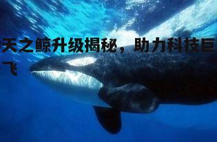 一、吞天之鲸的起源与升级目的