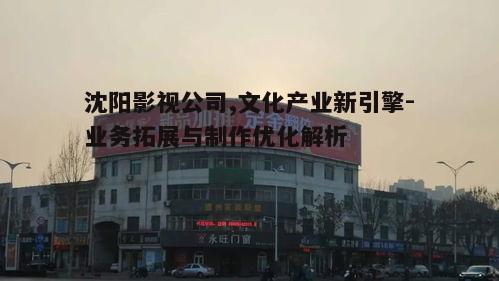 四、沈阳影视公司的市场定位