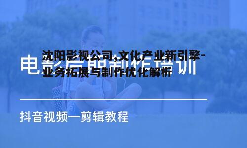五、沈阳影视公司的创新策略