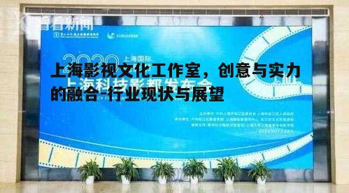 四、上海影视文化工作室的产业影响