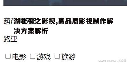 五、湖北引之影视的案例分析