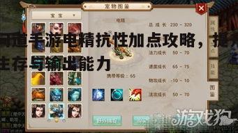 一、了解电精的抗性属性