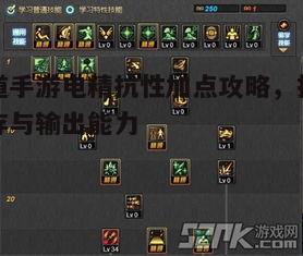 二、抗性加点策略