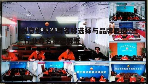 四、影视公司名称的注册与保护