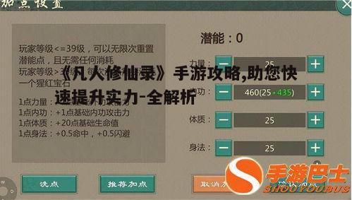 一、职业选择与技能搭配