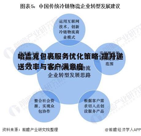 一、哈吉克包裹服务现状分析