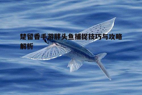 一、胖头鱼分布与习性了解