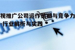 二、影视作品的竞争力分析