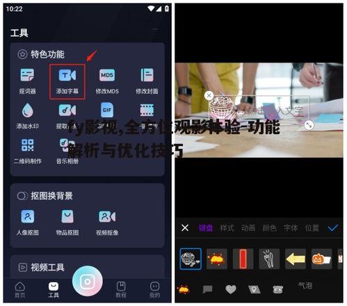 四、fy影视字幕支持与语言选择