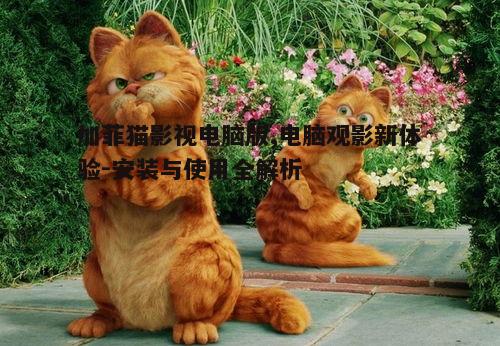三、安装加菲猫影视电脑版