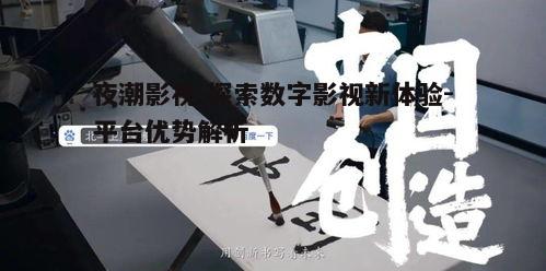 一、夜潮影视内容多样性