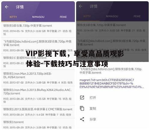 四、如何提高VIP影视下载速度