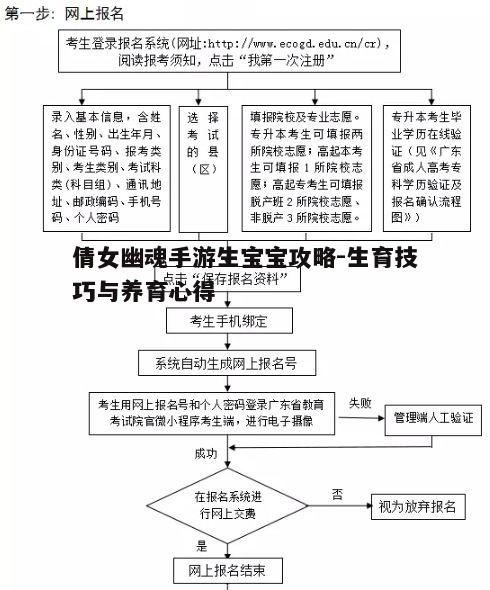 二、生育流程与技巧