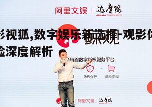 四、影视狐与版权保护