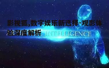 五、影视狐的未来展望