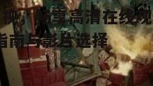 四、牛牛影视观影技巧