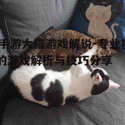 一、大猫游戏解说的个人风格与特色