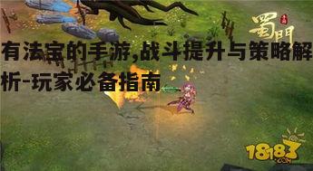 一、法宝在手，战斗无忧