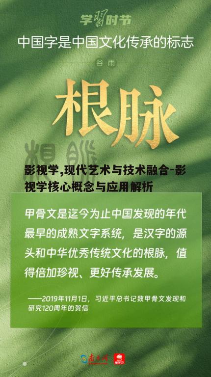 四、影视学在文化传承中的作用