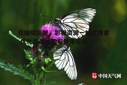 三、花蝴蝶影视的资源更新策略
