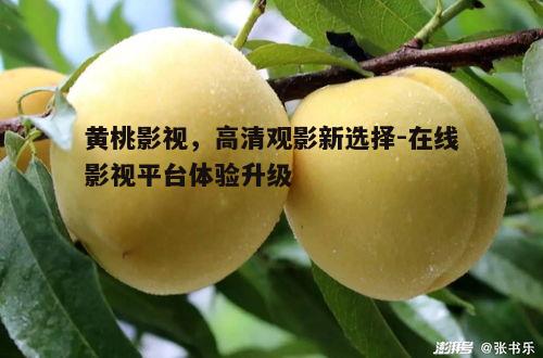 一、黄桃影视平台的优势