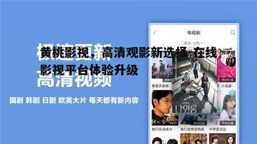 五、黄桃影视的社区互动
