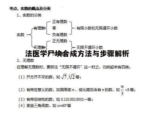 一、尸块的定义与分类