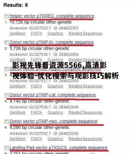 二、如何高效搜索资源