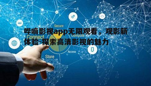 五、未来发展展望
