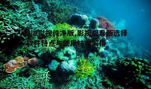 一、珊瑚影视纯净版的独特优势