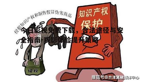 四、版权保护与个人隐私保护