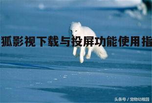 四、蓝狐影视操作简便性