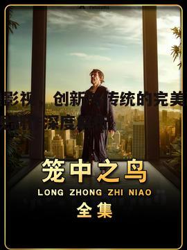 二、晨曦影视的艺术风格