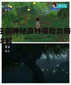 一、神秘森林概述