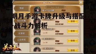 一、卡牌等级提升关键技巧