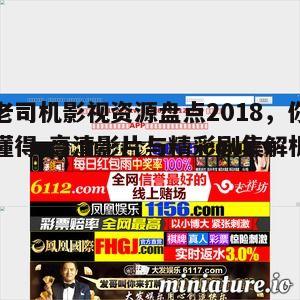 五、老司机影视资源的特点与优势